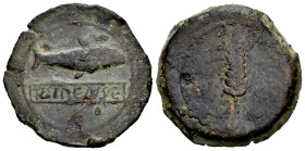Ilipense. Half unit. 120-20 BC. Alcalá del Río (Sevilla). (Abh-1534). Anv.: Shad right, legend ILIPENSE in linear frame below. Rev.: Ear of corn. Ae. ...