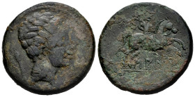 Saiti-Saetabi. Unit. 120-20 BC. Xátiva (Valencia). (Abh-2097). Anv.: Male head right, scepter behind. Rev.: Horseman right, holding palm, legend SAITI...