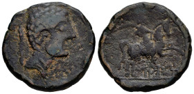 Saiti-Saetabi. Unit. 120-20 BC. Xátiva (Valencia). (Abh-2099). Anv.: Male head right, scepter behind, smaller module and crude style, iberian letters ...