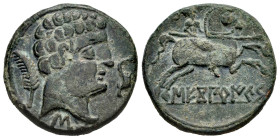Sekobirikes. Unit. 120-30 BC. Saelices (Cuenca). (Abh-2176). Anv.: Male head right, dolphin before, behind palm and below iberian letter S. Rev.: Hors...