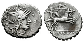 Cosconius. L. Cosconius M.f. Denarius. 118 BC. Narbo. (Ffc-652). (Craw-282/2). (Cal-514). Anv.: L. COSCO. M. F. X around head of Roma right. Rev.: Bit...