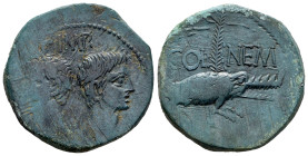 Augustus and Agrippa. Unit. 10 BC-10 AD. Nemausus, Gaul. (Ric-I 158). (Rpc-I 524). (AMC-425). Anv.: Back to back laureate and rostral crowned head of ...