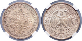 WEIMARER REPUBLIK, 1919-1933, 5 Reichsmark 1928 G. Eichbaum.
NGC MS 66
J.331