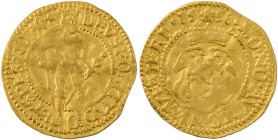 Netherlands. West Friesland. AV Ducat, 1598, 3.43g (KM8; Fr.291).

Attractive golden tone with some weakness in strike and in flan. Almost very fine.