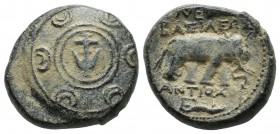 Antioch ad Orontem. Antiochos I Soter. Circa 281-261 BC. AE (19mm, 7.02g). Macedonian shield with Seleukid anchor in central boss / Horned elephant wa...