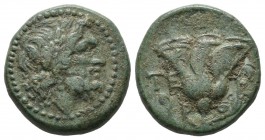 Caria, Rhodes. Circa 229-205 BC. AE Tetrachalkon (18mm, 5.46g). Laureate head of Zeus right / P - O. Rose with bud to right, TE to left. Ashton 234; H...