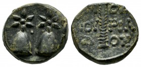 Colchis. Dioscurias, circa 200 BC. AE (17mm, 5.33g). Caps of the Dioscuri surmounted by stars / ?IO?KOYPIA?O?. Thyrsos. SNG Stancomb 638.