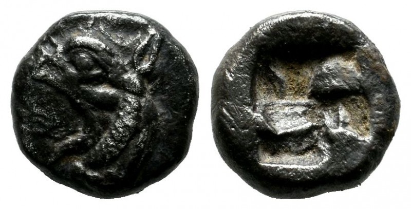Ionia, Phokaia. Circa 521-478 BC. AR Diobol (9mm, 1.50g). Head of griffin to lef...
