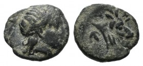 Lesbos, Mytilene. Circa 400-350 BC. AE (9mm, 0.55g). Laureate head of Apollo right / MYTI. Head and neck of bull right, head slightly facing. BMC 23-4...