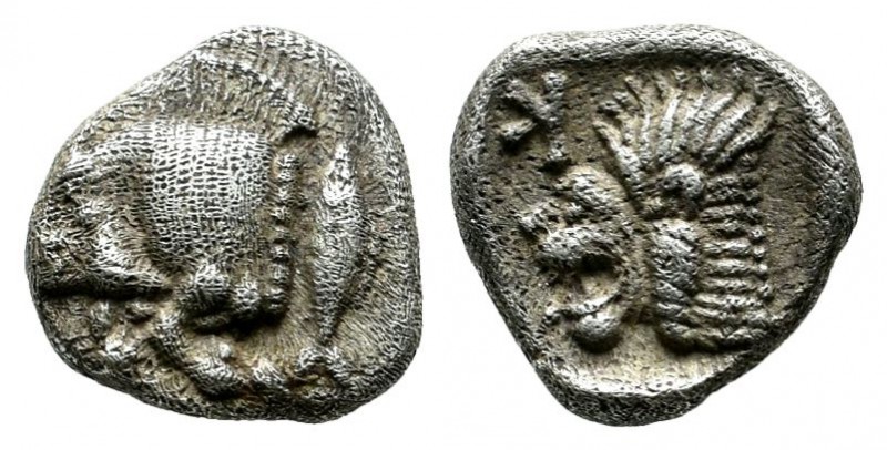 Mysia, Kyzikos, circa 480 BC. AR Obol (9mm, 0.81g). Forepart of boar left with t...