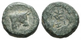 Mysia, Kyzikos. ca.250-150 BC. AE (12mm, 2.81g). Head of bull right in beaded circle. / KY/ZI in a monogram, within oak wreath. Nomisma X Kyzikos, Gru...