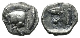 Mysia, Kyzikos. Circa 480 BC. AR Diobol (10mm, 1.20g). Forepart of boar left with tall mane and dotted truncation, to right, tunny upward / Head of ro...