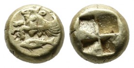 Mysia, Kyzikos. Circa 550-500 BC. EL Hemihekte (7mm, 1.32g). Forepart of winged bull left; below, tunny left / Quadripartite incuse square. Von Fritze...