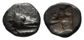 Mysia, Kyzikos. Circa 600-550 BC. AR Hemiobol (8mm, 0.43g). Head of tunny fish right / Quadripartite incuse square. Von Fritze IX 2.