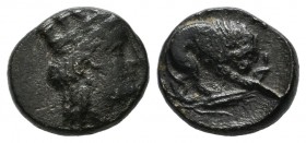 Mysia, Plakia. Circa 4th century BC. AE (10mm, 1.46g). Turreted head of Kybele right / ΠΛΑΚΙΑ. Lion standing right, devouring prey; below, grain ear r...