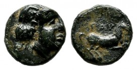 Troas, Gargara. ca.400-284 BC. Æ (8mm, 0.65g). Laureate head of Apollo(?) right. / ΓAP. Horse galloping right. SNG München 191; SNG Copenhagen 326.