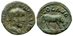 Troas, Alexandreia. Gallienus AD 253-268. AE (19mm, 4.37g). Laureate, draped and cuirassed bust right / Horse grazing right.