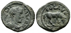 Troas, Alexandreia. Gallienus AD 253-268. AE (21mm, 5.18g). Laureate, draped, and cuirassed bust of Gallienus to right / COL AVG TRO, horse grazing to...