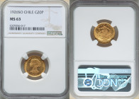 Republic gold 20 Pesos 1926-So MS63 NGC, Santiago mint, KM168. Glistening lustrous fields, small rim nick. First year of type. 

HID09801242017

© 202...