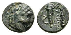 KINGS of MACEDON.Alexander III. (336-323 BC).Ae.

Weight : 1.3 gr
Diameter : 11 mm