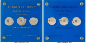 Gilbert Islands. 3-Piece Lot of Uncertified Uba Shell Money (c. 1800's) VF, A selection of three labored shells with intentional holes, stored in a cu...