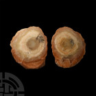 Natural History - Large Orange Calcite Cut Slice Pair
. A pair of cut and polished orange calcite slices. 930 grams total, 16-16.5 cm (6 1/4 - 6 1/2 ...