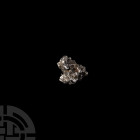 Natural History - Campo del Cielo Meteorite
Fell 6000-5000 years B.P. A Campo del Cielo nickel iron meteorite (IAB); held in a white card collector's...