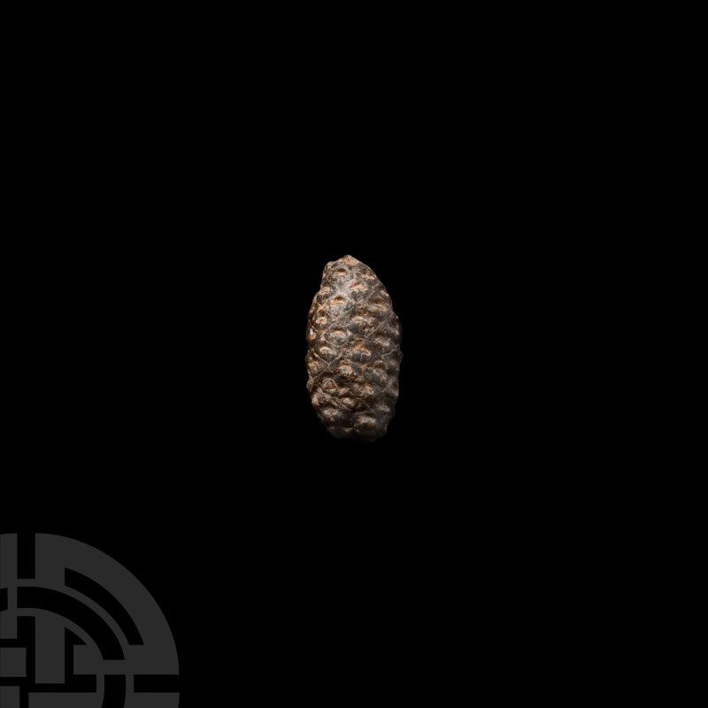 Natural History - Fossil Pine Cone
Eocene Period, 55-33 million years B.P. A ra...