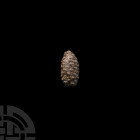 Natural History - Fossil Pine Cone
Eocene Period, 55-33 million years B.P. A rare, unidentified agatized Dicotaledon sp. fossil fruit specimen; held ...