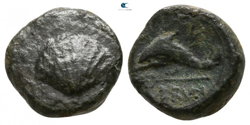 Calabria. Brundisium 250-225 BC. 
1/8 Uncia Æ

8mm., 1,39g.

Cockle shell /...