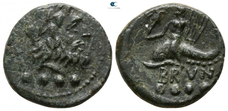 Calabria. Brundisium circa 200 BC. 
Triens Æ

15mm., 4,03g.

Laureate head ...