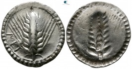 Lucania. Metapontion circa 540-510 BC. Stater AR