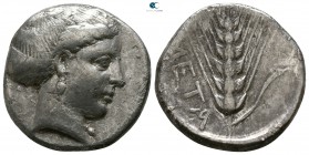 Lucania. Metapontion circa 400-340 BC. Nomos AR