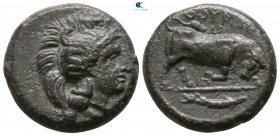 Lucania. Thourioi 435-405 BC. Bronze Æ