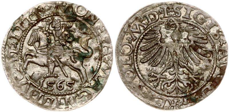 Lithuania 1/2 Grosz 1565 Vilnius. Sigismund II Augustus (1545-1572). Legend ends...