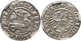Zygmunt I Stary, półgrosz litewski 1513, Wilno MAX