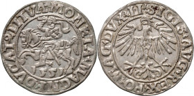 Zygmunt II August, półgrosz 1551, Wilno