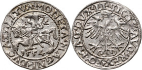 Zygmunt II August, półgrosz 1554, Wilno