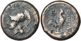 CAMPANIE, SUESSA AURUNCA, AE bronze, 3e s. av. J.-C. D/ T. casquée d'Athéna à g. R/ SVESANO Coq à d. A g., une étoile. SNG ANS 609. 6,12 g. Patine bru...