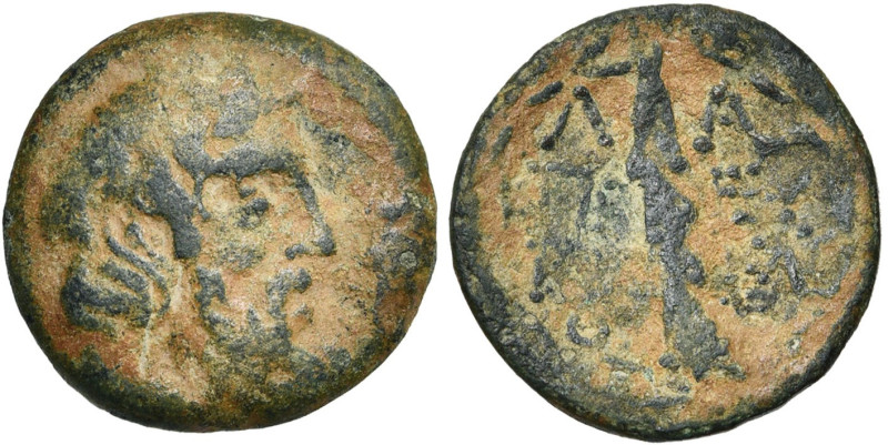 LACONIE, LACEDEMONE, AE bronze, 31-7 av. J.-C. D/ T. de Zeus à d. R/ Massue vers...