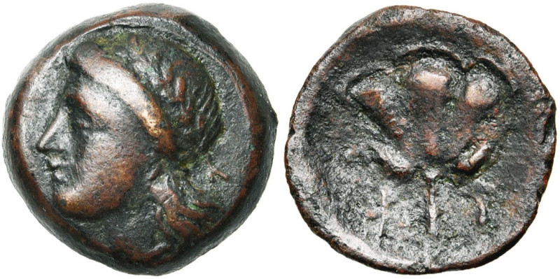 ILES DES CYCLADES, KYTHNOS, AE bronze, 2e-1er s. av. J.-C. D/ T. l. d'Apollon à ...