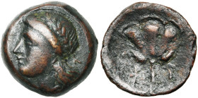 ILES DES CYCLADES, KYTHNOS, AE bronze, 2e-1er s. av. J.-C. D/ T. l. d'Apollon à g. A d., Κ. R/ Rose. En dessous, Κ-Y. SNG Cop. 664 var. 3,74 g. Rare. ...