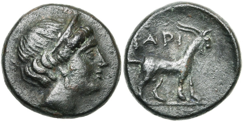 ILES DES CYCLADES, PAROS, AE bronze, 3e-1e s. av. J.-C. D/ T. de Déméter à d., c...