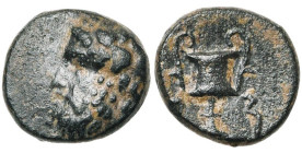 LYDIE, SARDES (?), AE bronze, 4e s. av. J.-C. D/ T. de Dionysos à g., coiffé d'une couronne de lierre et de fruits. R/ Canthare. En dessous, deux lett...