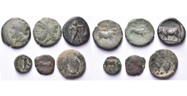 lot de 6 bronzes, dont: Campanie, Neapolis, T. de Nymphe/Taureau androcéphale; Apulie, Arpi, T. de Zeus/Sanglier; Lucanie, Poseidonia, Poséidon/Taurea...