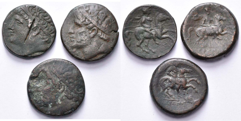 SICILE, SYRACUSE, Hiéron II (275-216), lot de 3 bronzes au cavalier, dont 1 avec...