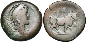 EGYPTE, ALEXANDRIE, Antonin le Pieux (138-161), AE drachme, 144-145. D/ T. l. à d. R/ Le taureau Apis marchant à d., t. de f. Devant, un autel égyptie...