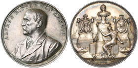 AUTRICHE, AR médaille, 1890, Scharff. L'historien Alfred Ritter von Arneth. D/ B. à g. R/ Monument à la mémoire de Marie-Thérèse: b. de l'impératrice ...