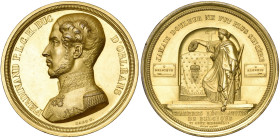 BELGIQUE, AE doré médaille, 1842, Hart. A la mémoire du duc Ferdinand d'Orléans. D/ B. barbu à g., en uniforme. R/ JAMAIS DOULEUR NE FUT PLUS SINCERE ...