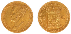 Koninkrijk NL Willem I (1815-1840) - 5 Gulden 1826 B (Sch. 197) - Gold - VF, traces of mounting